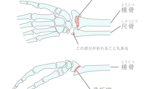 野生天冬和种植天冬的差别-野生天冬图片专区_野生天冬图片专区_野生天冬图片网