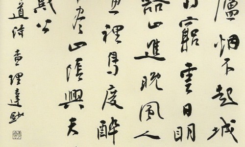 野生天冬和种植天冬的差别-野生天冬图片专区_野生天冬图片专区_野生天冬图片网