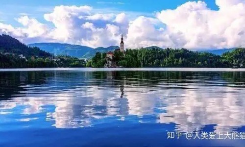 野生天冬加工方法-野生天冬图片专区_野生天冬图片专区_野生天冬图片网