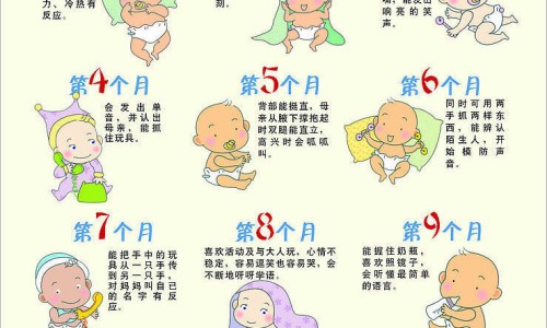 野生天冬加工方法-野生天冬图片专区_野生天冬图片专区_野生天冬图片网